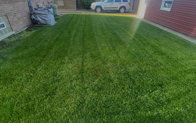 Photo of Dorothy F.'s yard after getting lawn care in Elgin, IL