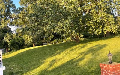 Photo of Terry P.'s yard after getting lawn care in Brockton, MA