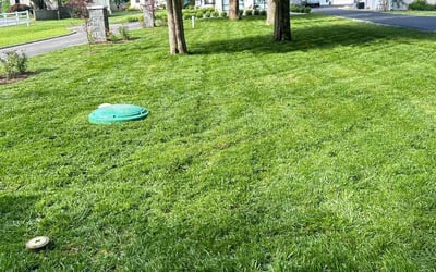 Photo of Jeremiah S.'s yard after getting lawn care in Edgewater, MD