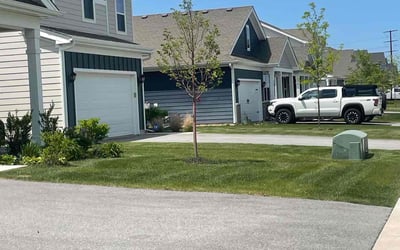 Photo of Caroline C.'s yard after getting lawn care in Panama City Beach, FL