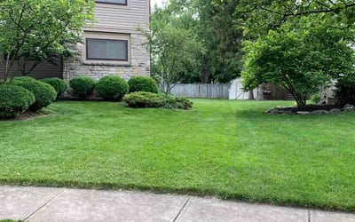 Photo of Jackie S.'s yard after getting lawn care in London, OH
