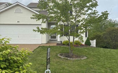 Photo of Georgia L.'s yard after getting lawn care in Stone Mountain, GA