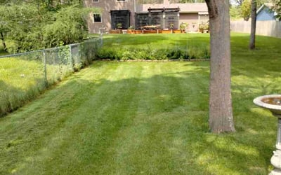 Photo of Constance R.'s yard after getting lawn care in Robbinsdale, MN