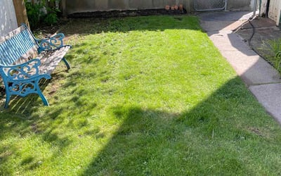 Photo of Anthony H.'s yard after getting lawn care in Arlington, MA