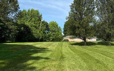 Photo of Abby C.'s yard after getting lawn care in Union, KY