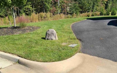 Photo of Loretta S.'s yard after getting lawn care in Quinton, VA