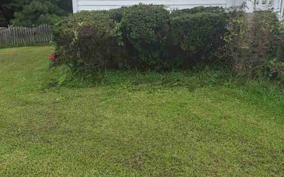 Photo of Madison H.'s yard after getting lawn care in Grovetown, GA