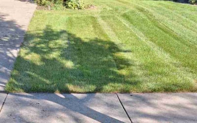 Photo of Nancy W.'s yard after getting lawn care in Orland Park, IL