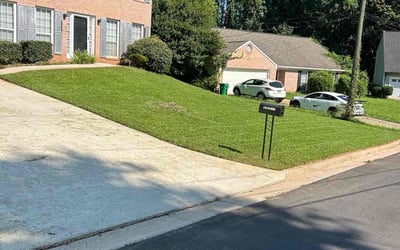 Photo of Janet U.'s yard after getting lawn care in Martinez, CA