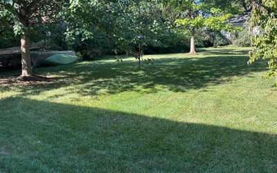 Photo of Dennis S.'s yard after getting lawn care in Glen Ellyn, IL