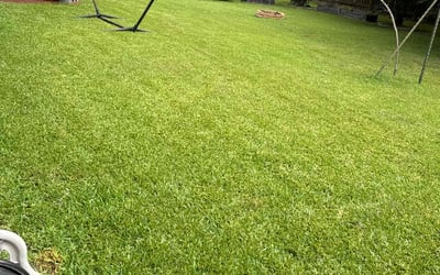 Photo of Christine M.'s yard after getting lawn care in Spicewood, TX