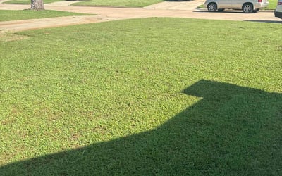 Photo of Denise B.'s yard after getting lawn care in Dublin, OH