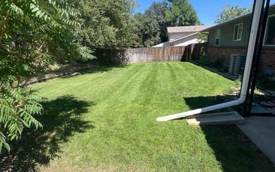 Photo of Maralee M.'s yard after getting lawn care in Centennial, CO