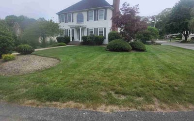 Photo of Denise R.'s yard after getting lawn care in Salem, NJ