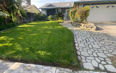 Photo of Rachel C.'s yard after getting lawn care in Shingle Springs, CA