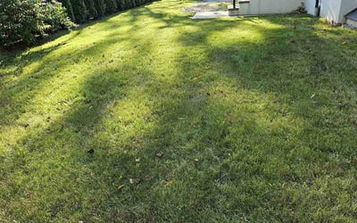 Photo of James M.'s yard after getting lawn care in West Orange, NJ