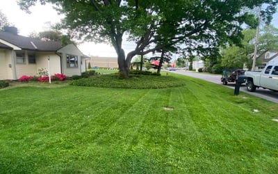 Photo of Therin S.'s yard after getting lawn care in Painesville, OH