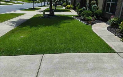 Photo of Matthew B.'s yard after getting lawn care in Belton, TX