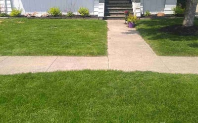 Photo of Julia S.'s yard after getting lawn care in Fowlerville, MI
