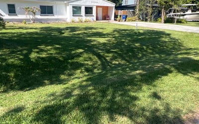 Photo of Ross M.'s yard after getting lawn care in Tampa, FL
