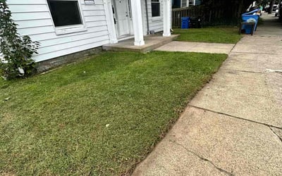 Photo of Rosemarie L.'s yard after getting lawn care in Norwich, CT