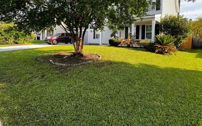 Photo of Judith Y.'s yard after getting lawn care in Alexandria, KY