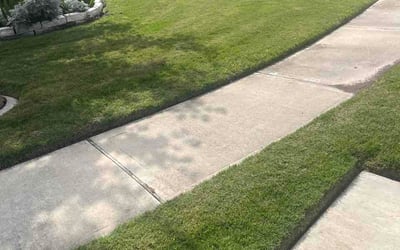 Photo of Cathy B.'s yard after getting lawn care in Affton, MO