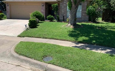 Photo of Robert M.'s yard after getting lawn care in Wesley Chapel, FL
