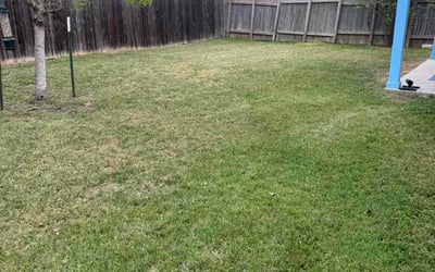 Photo of Mike W.'s yard after getting lawn care in Owasso, OK