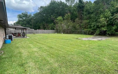 Photo of Joycelyn M.'s yard after getting lawn care in Abbeville, LA