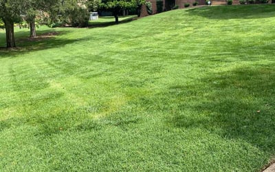Photo of Deborah D.'s yard after getting lawn care in Brentwood, TN