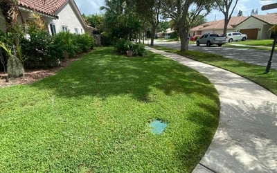 Photo of Riley S.'s yard after getting lawn care in Niceville, FL