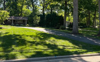 Photo of Jomarie M.'s yard after getting lawn care in Fox Lake, IL