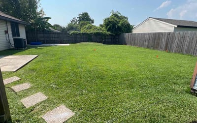 Photo of Mrs Dee W.'s yard after getting lawn care in Marrero, LA