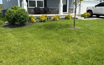 Photo of Angie M.'s yard after getting lawn care in Portage, IN