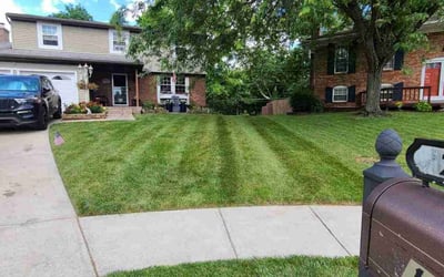 Photo of Jaron M.'s yard after getting lawn care in Binghamton, NY