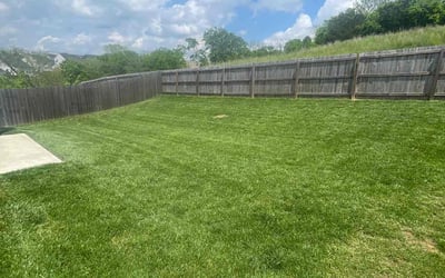 Photo of Melody J.'s yard after getting lawn care in Nashville, TN
