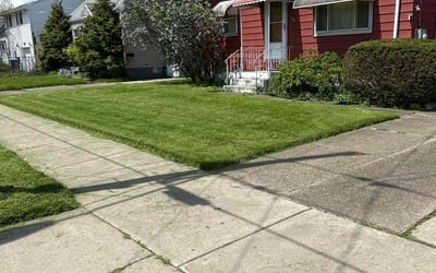 Photo of Sheila E.'s yard after getting lawn care in Orchard Park, NY