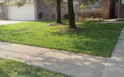 Photo of Xin Y.'s yard after getting lawn care in Nutley, NJ