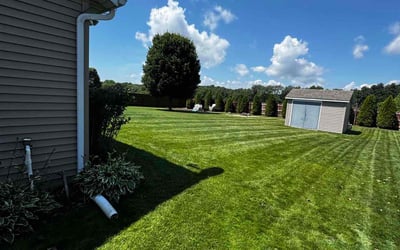 Photo of Jean A.'s yard after getting lawn care in New Kensington, PA