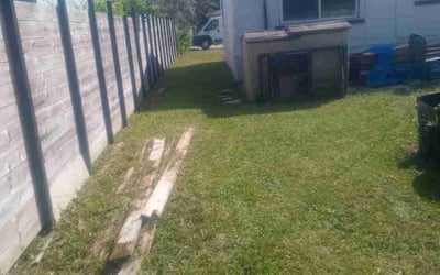 Photo of Elizabeth R.'s yard after getting lawn care in Lenoir City, TN