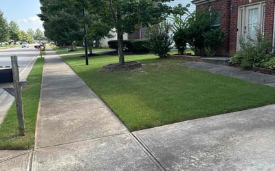 Photo of Tonya W.'s yard after getting lawn care in Grayson, GA