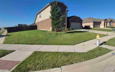 Photo of Michael F.'s yard after getting lawn care in Canton, OH