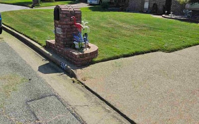 Photo of Jay S.'s yard after getting lawn care in Covington, TN