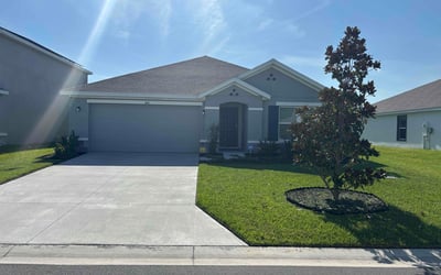 Photo of Kathryn L.'s yard after getting lawn care in Dunedin, FL