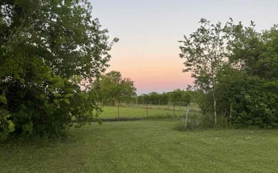 Photo of Amber S.'s yard after getting lawn care in Waco, TX
