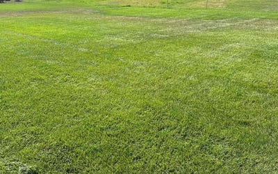 Photo of Samuel M.'s yard after getting lawn care in Noblesville, IN