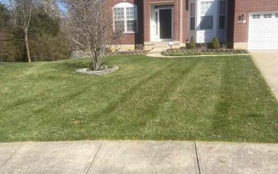 Photo of Christian N.'s yard after getting lawn care in Amelia, OH