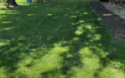 Photo of David J.'s yard after getting lawn care in Endicott, NY