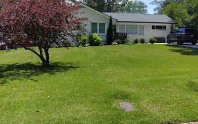 Photo of Art R.'s yard after getting lawn care in Decatur, GA